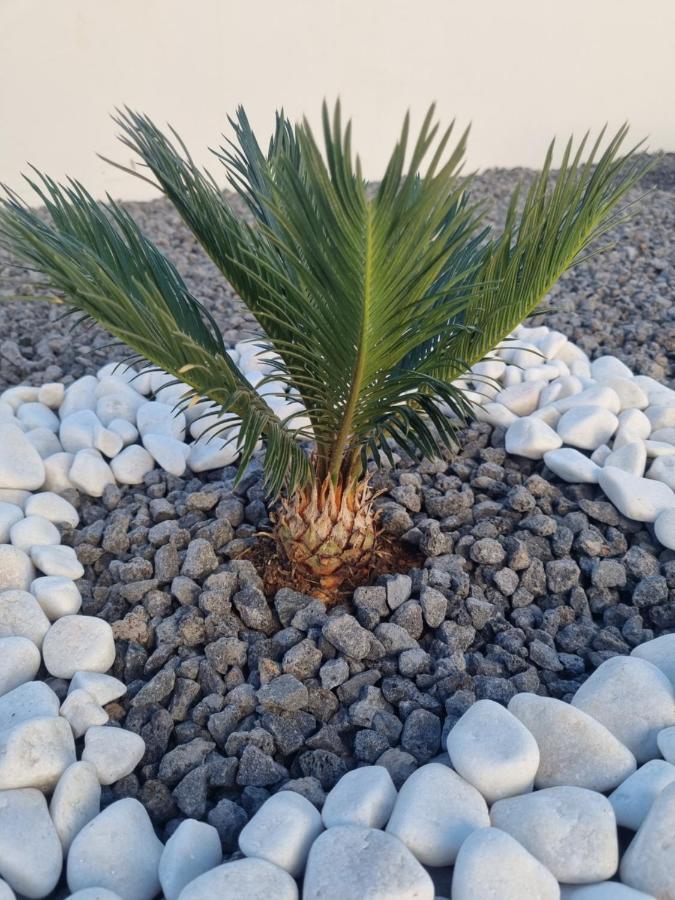 Luxury Villa Lanzarote Playa Blanca Dış mekan fotoğraf